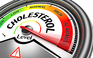 Cholisterinmessung auch mit Aufteilung LDL, HDL, Triglyceride